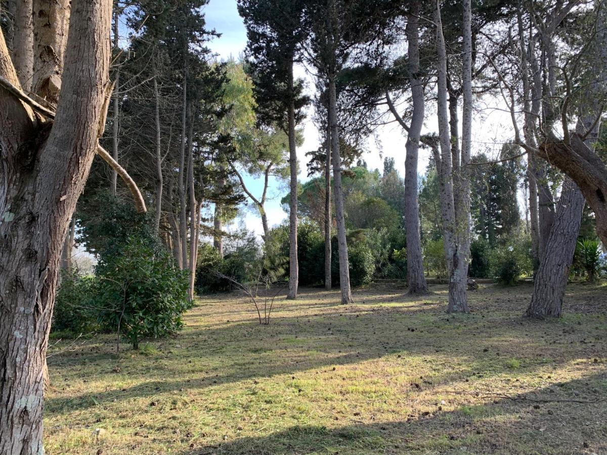 דירות טורה דל'אורסו Eden Monolocale Torre Dell Orso מראה חיצוני תמונה