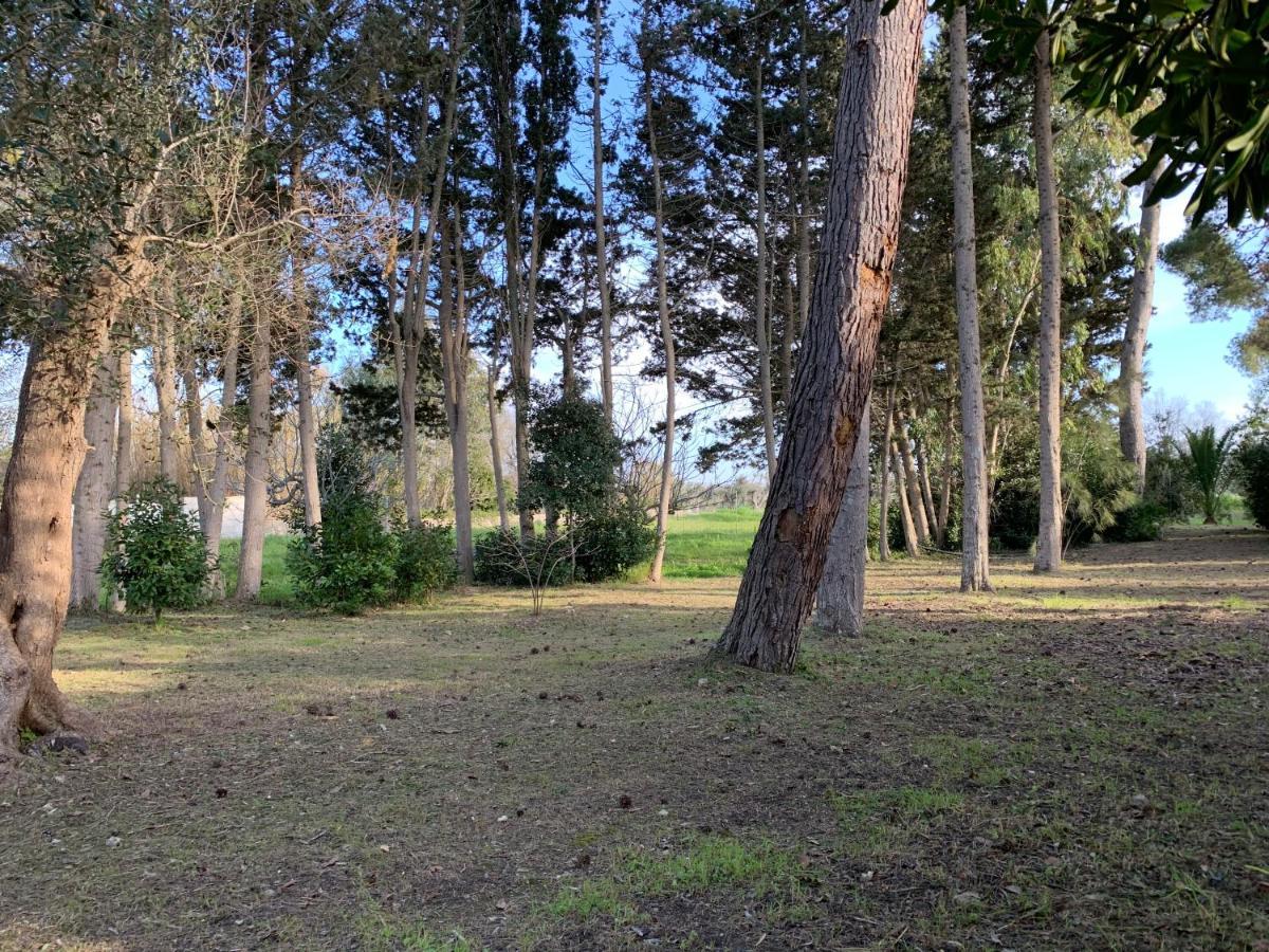 דירות טורה דל'אורסו Eden Monolocale Torre Dell Orso מראה חיצוני תמונה